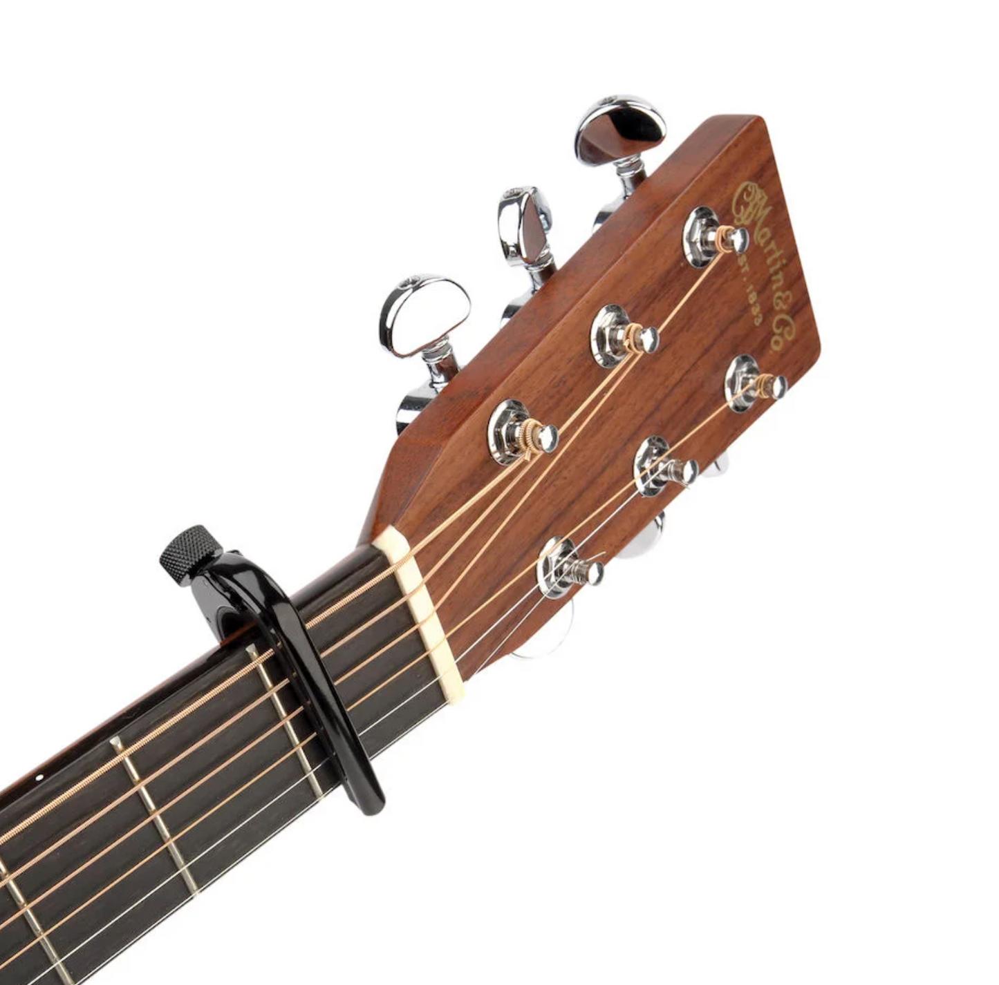 Guitar Pro Capo