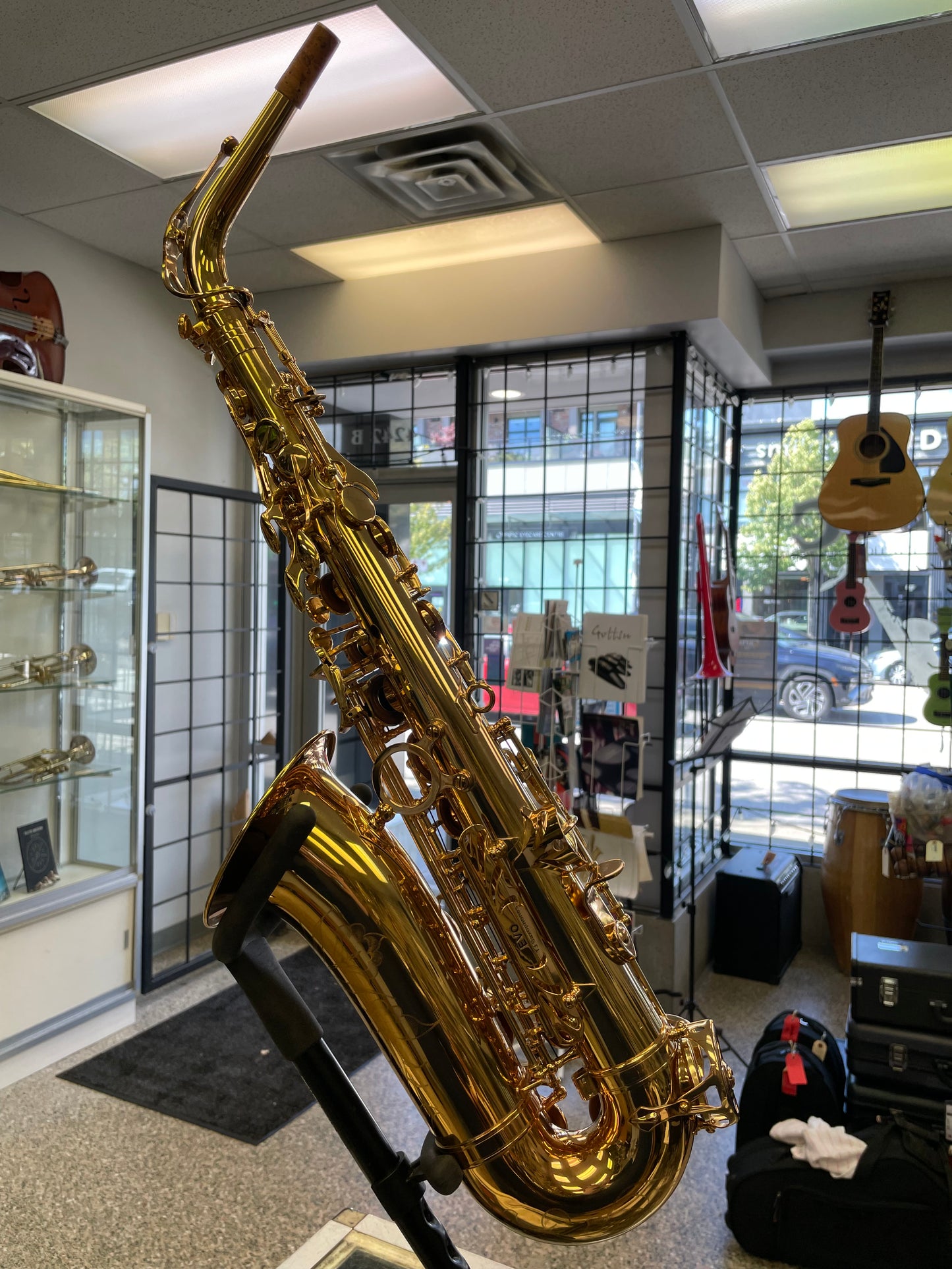 Pre-Owned Trevor James EVO Alto Saxophone - Gold Lacquer