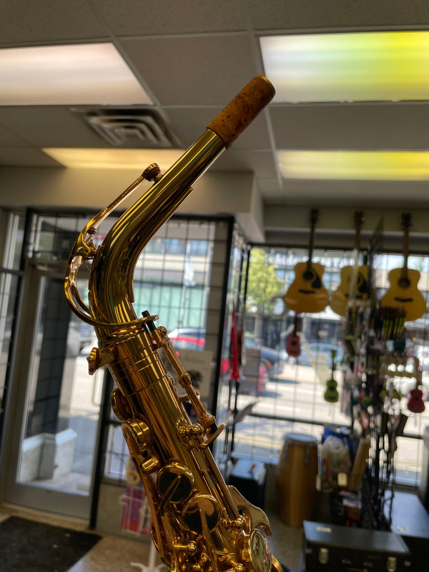Pre-Owned Trevor James EVO Alto Saxophone - Gold Lacquer