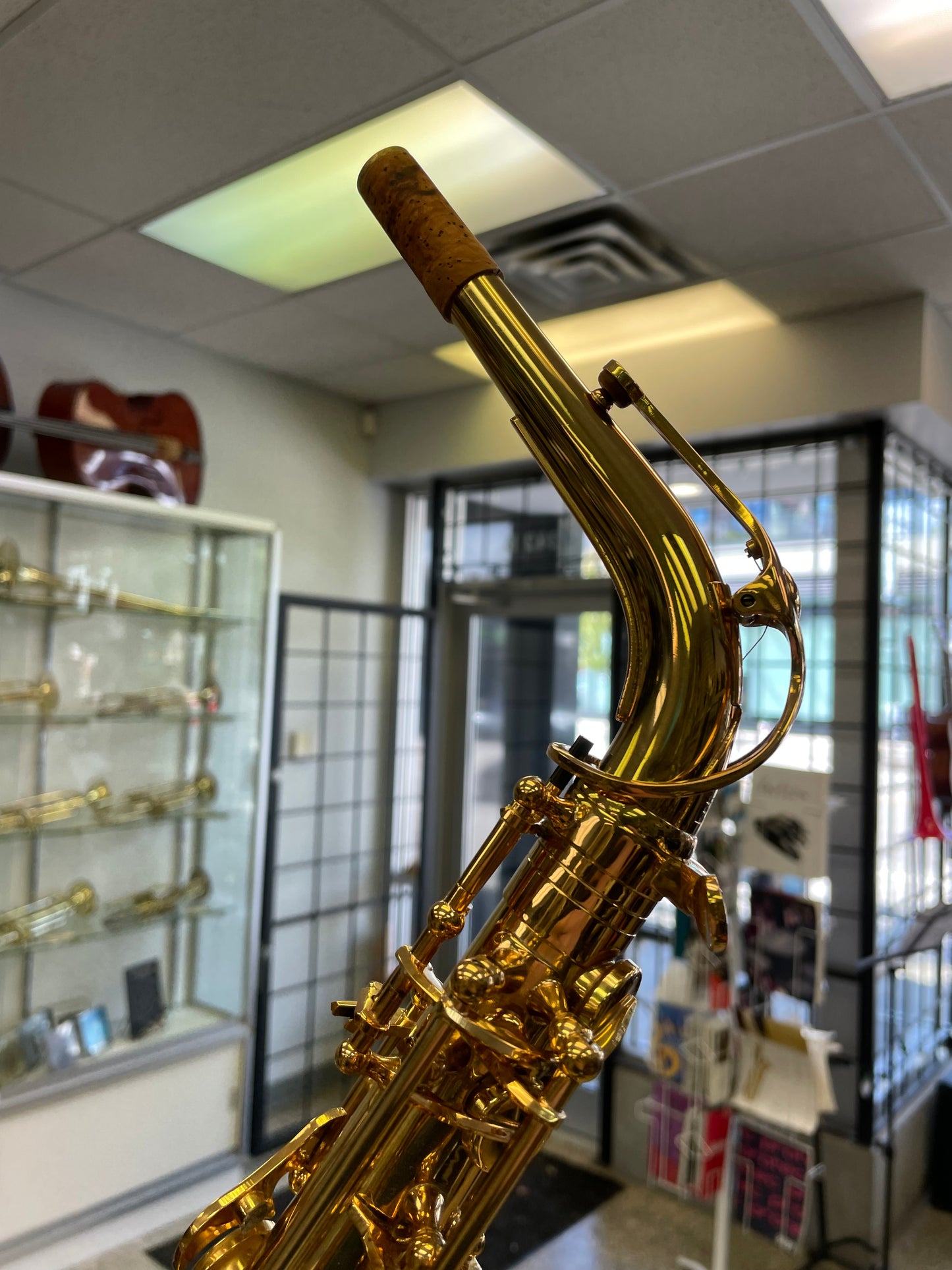 Pre-Owned Trevor James EVO Alto Saxophone - Gold Lacquer