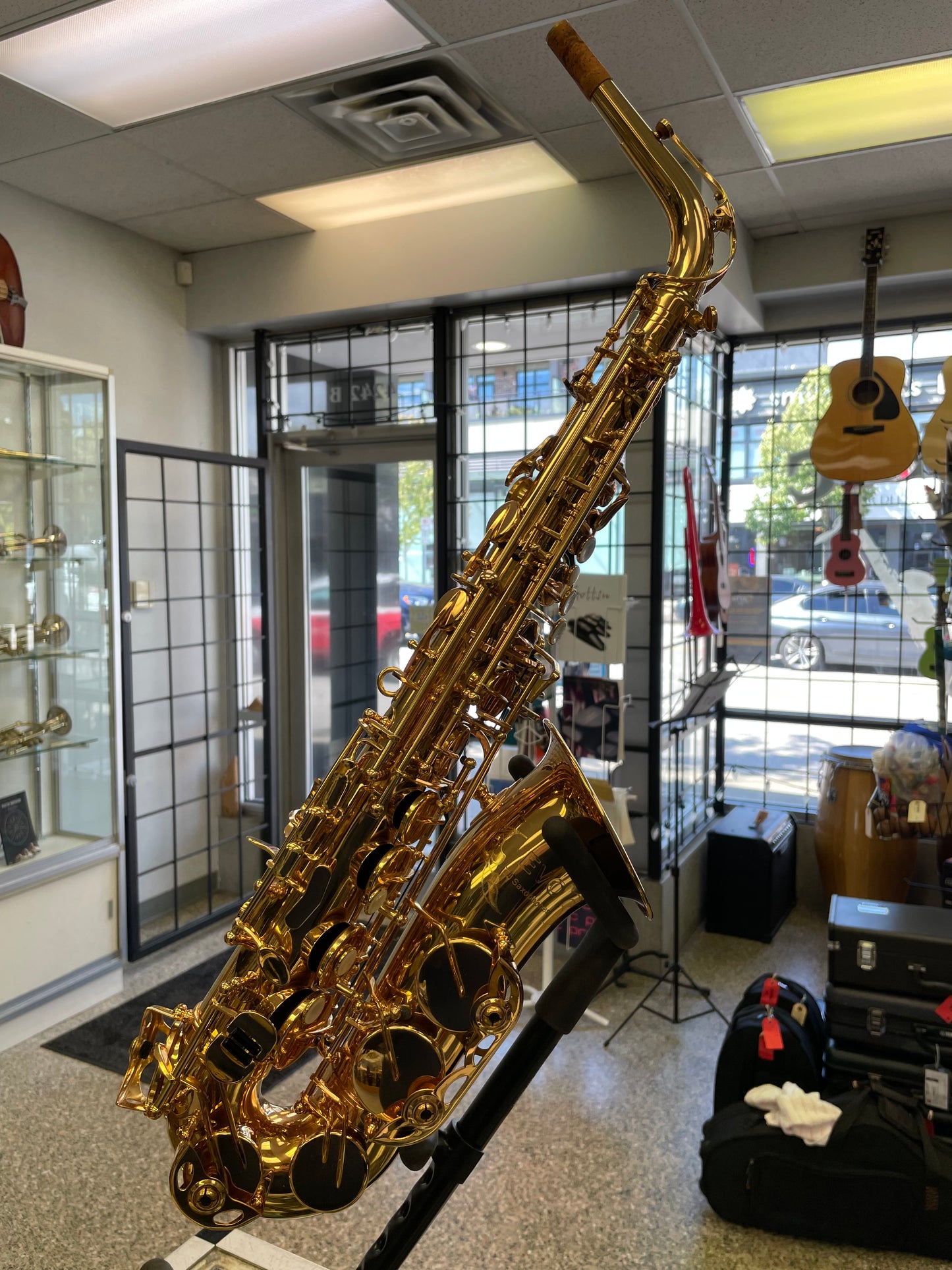 Pre-Owned Trevor James EVO Alto Saxophone - Gold Lacquer