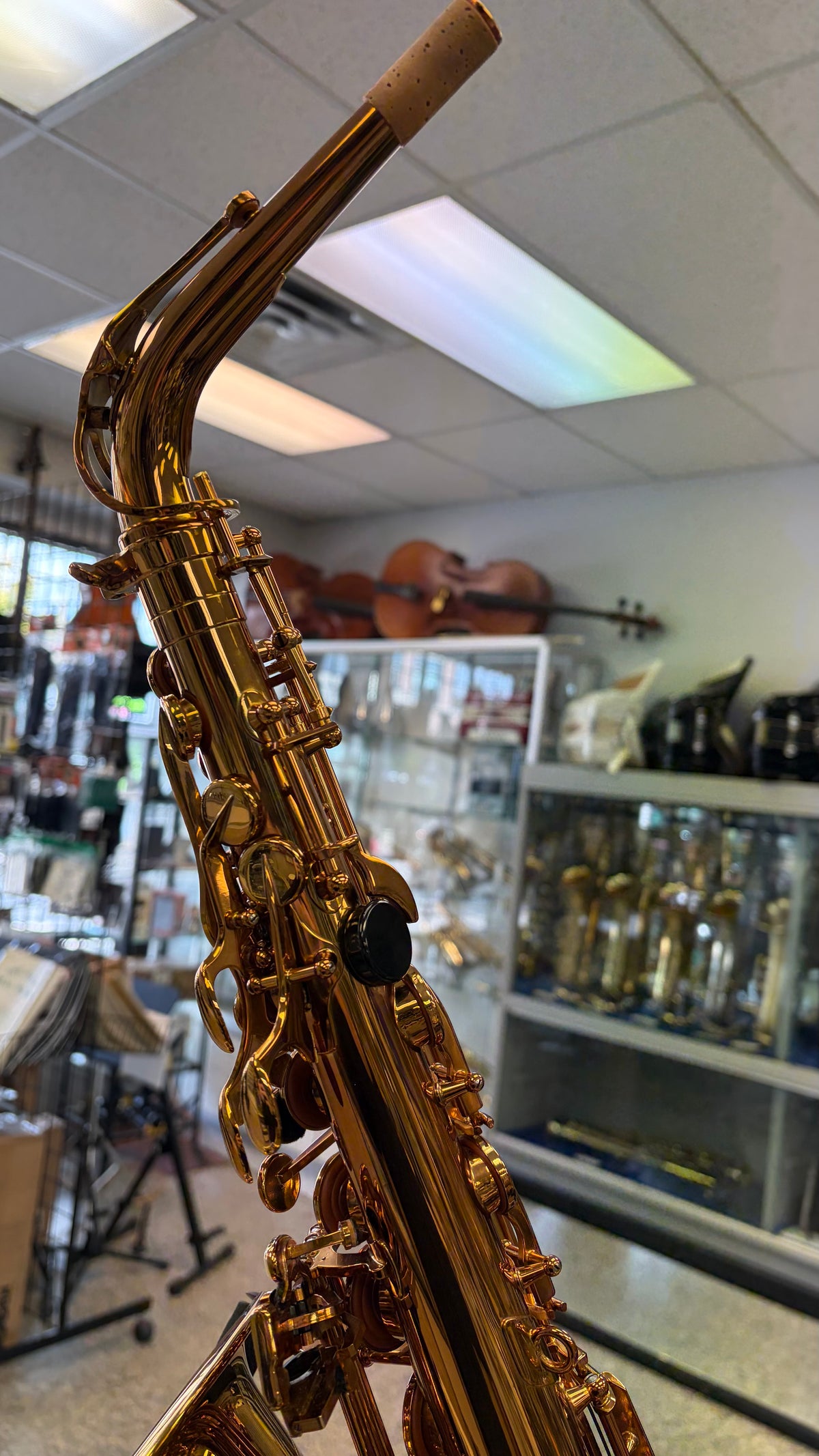 Pre-Owned Selmer Reference 54 Alto Saxophone MINT