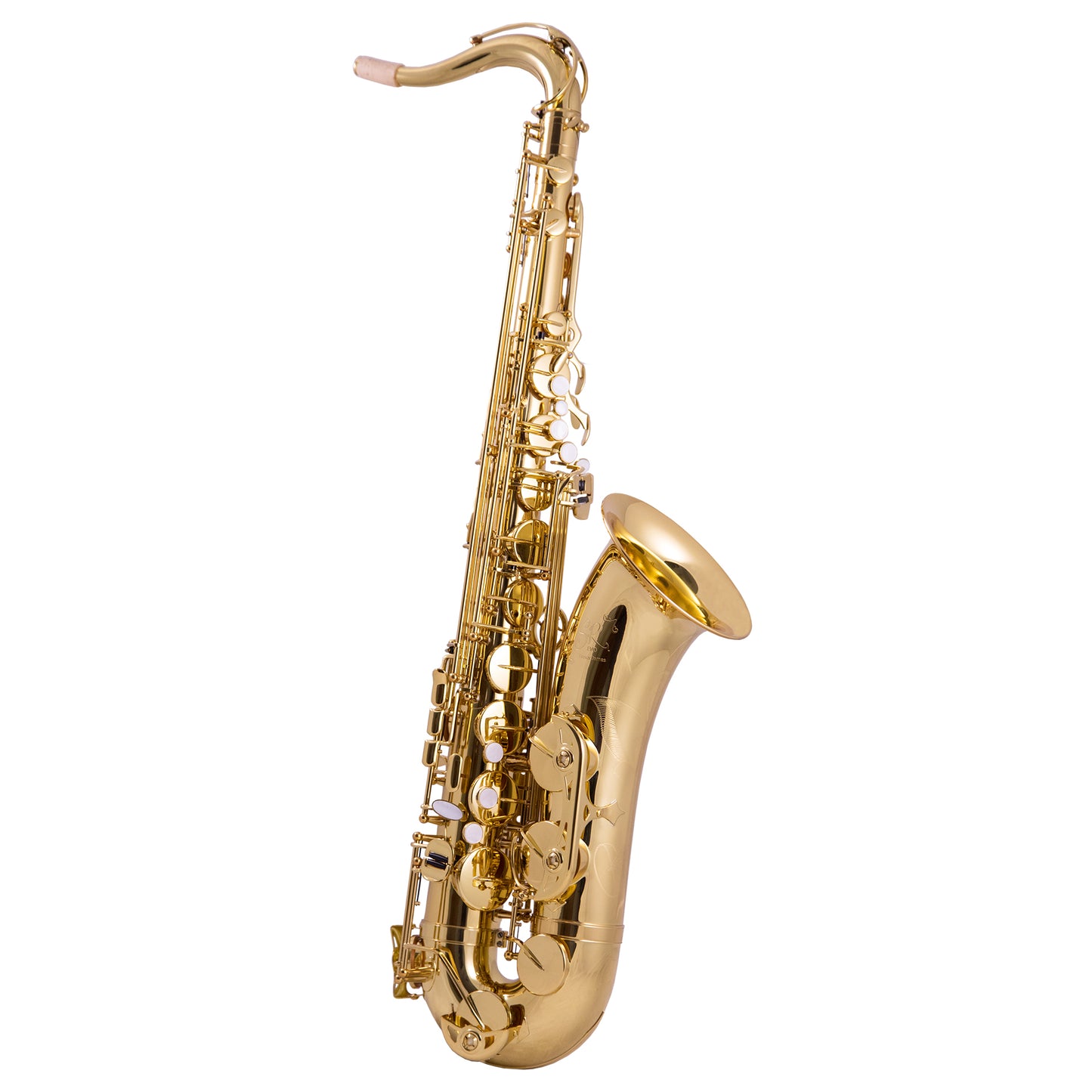 Trevor James EVO Intermediate Tenor Saxophone