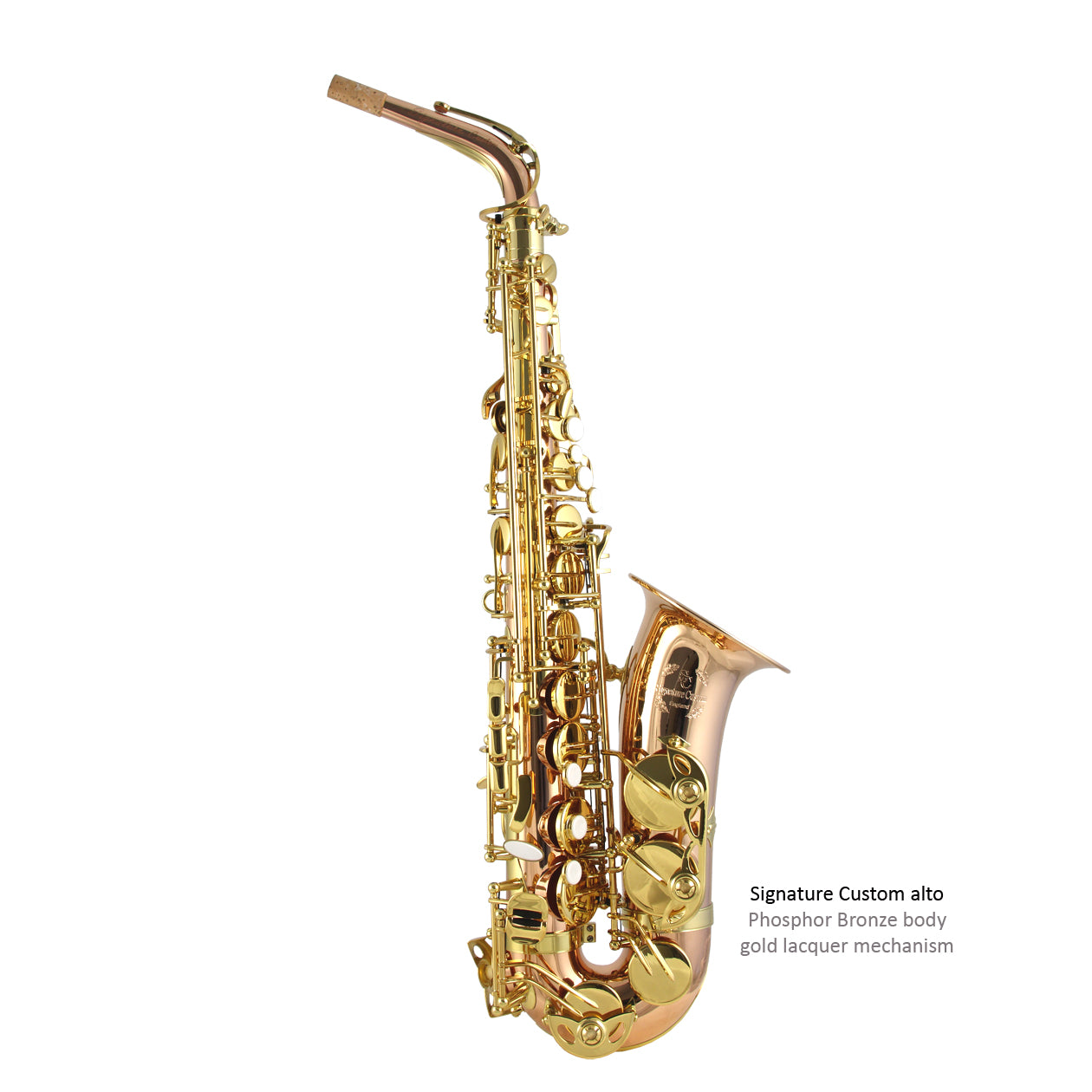 Trevor James Signature Custom Saxophone - Phosphor Bronze